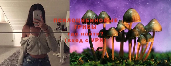 PSILOCYBIN Алексеевка